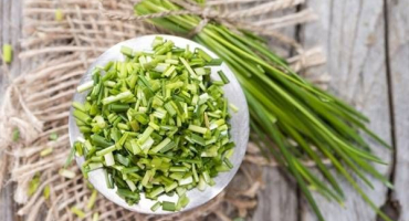 Top 10 způsobů, jak správně zmrazit zelenou cibuli na zimu doma